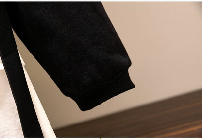 優しい雰囲気 2色 プラスベルベット 長袖 ニット セーター E-10397