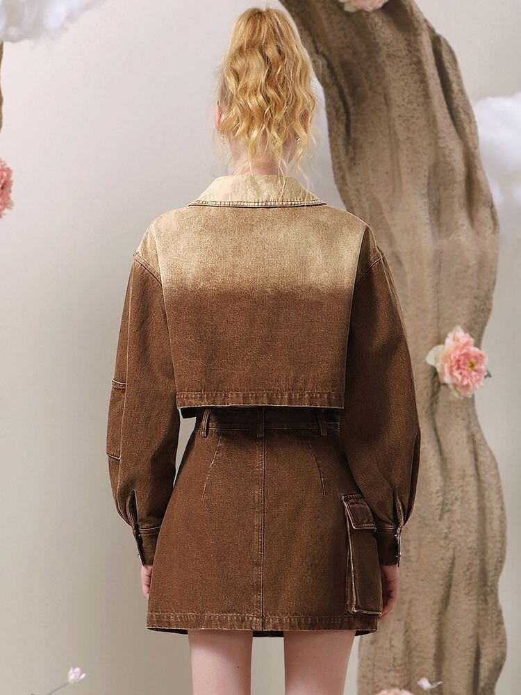 絶対欲しい グラデーション デザイン性抜群 デニム トップスⅹミニスカートセットアップE-9159