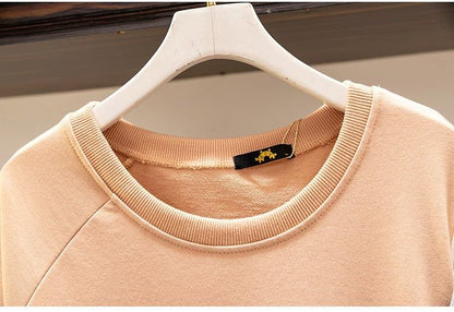 優しい雰囲気 2色 プラスベルベット 長袖 ニット セーター E-10397